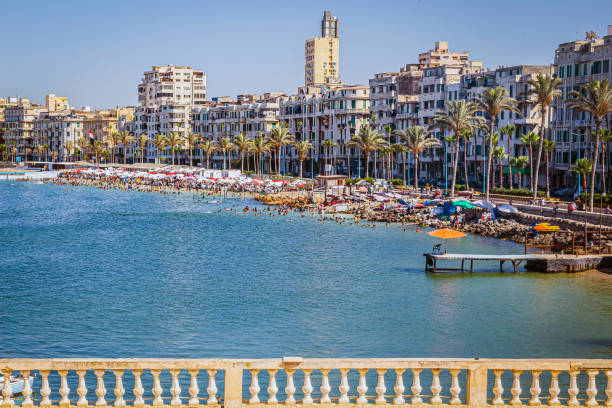 Day tour from Cairo to Alexandria