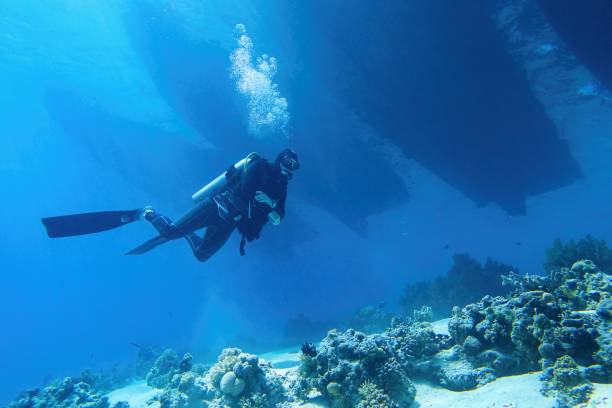 DAY SCUBA DIVING HURGHADA EGYPT RED SEA