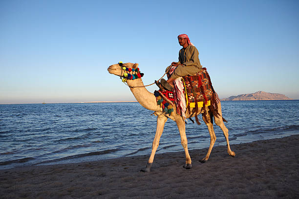 Tiran Island from Sharm el sheikh